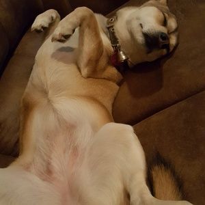 Meet your Posher, Bonnie